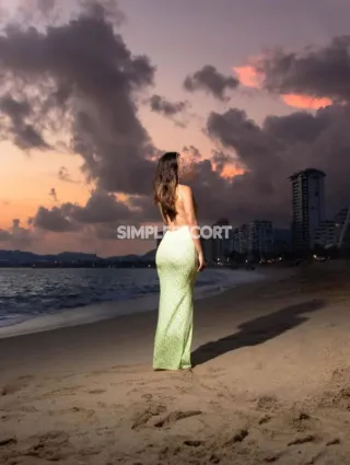 58 - Regina Escorts Bahía de Banderas - 3222276728